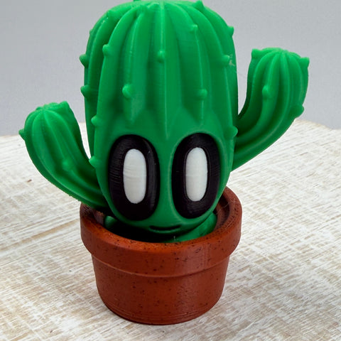 Blob Cactus and Pot