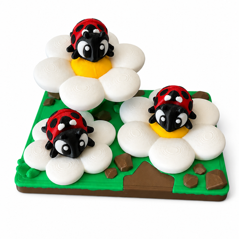 Daisy Ladybug Set
