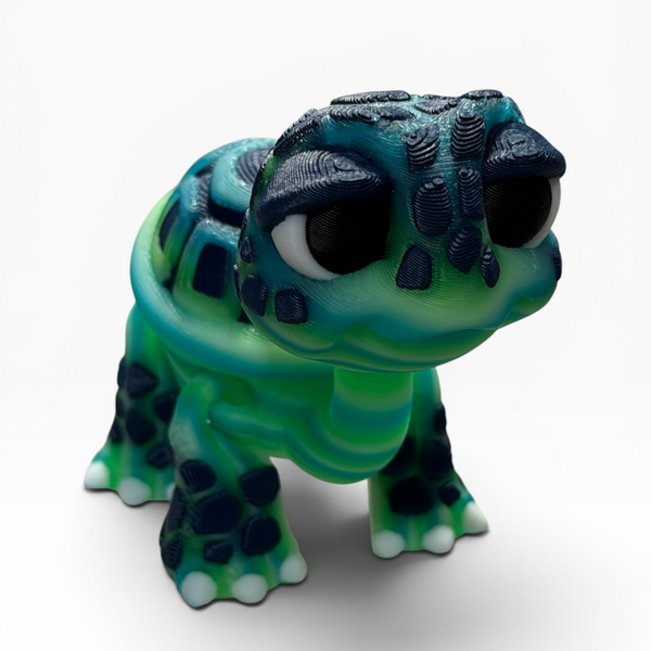 Green/Blue Tortoise
