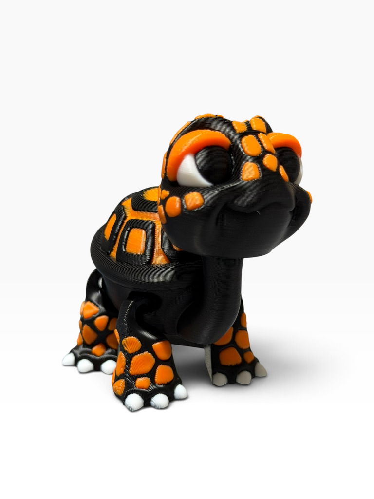 Black & Orange Tortoise