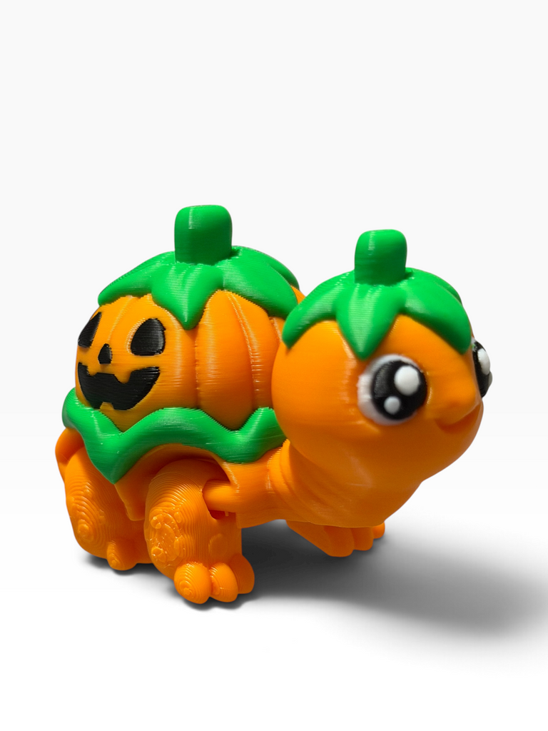 Pumpkin Back Turtle