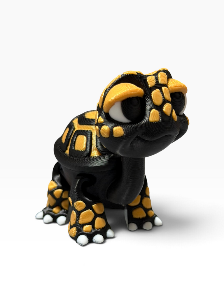 Black & Gold Tortoise