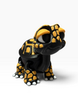 Black & Gold Tortoise