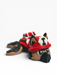 GRIT Friend Turtles - Fun Pocket-Sized Collectible Turtles for All Ages