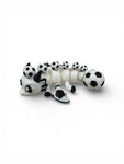 Jumbo Sports Dragons