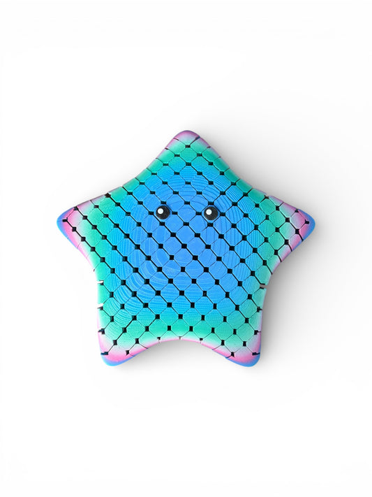Mystical Mesh Fidget Star | 3D Printed Articulated Star Collectible