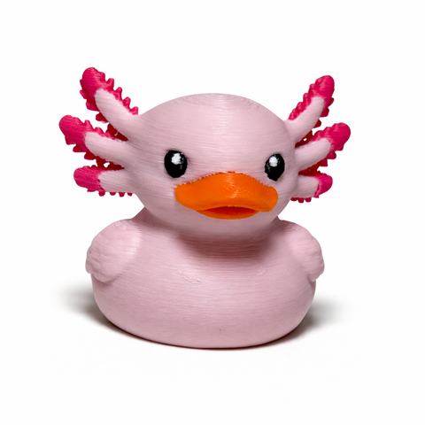 GRIT Ducks