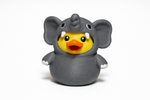 GRIT Ducks
