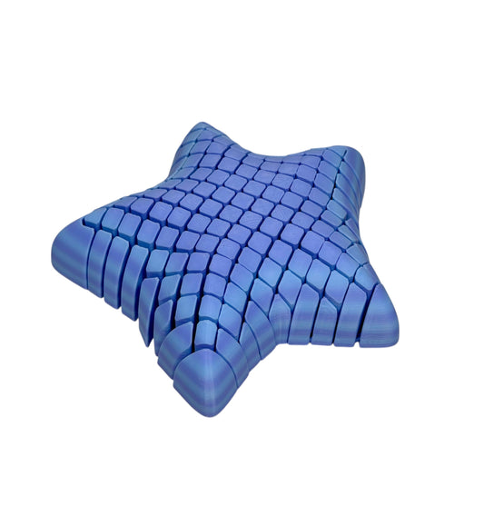 Mystical Mesh Fidget Star | 3D Printed Articulated Star Collectible